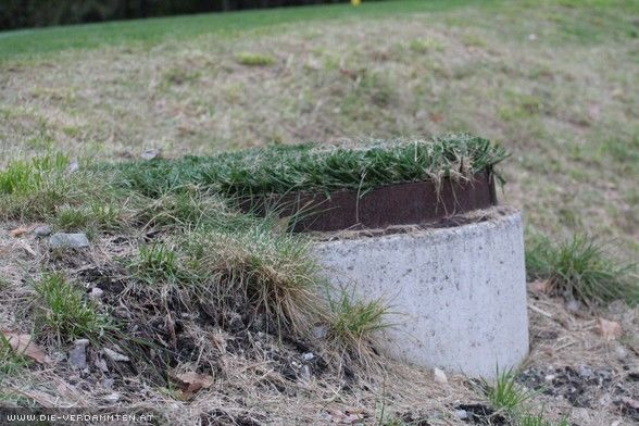 Die Kunstrasen-Probe - ein Verm�chtnis von Toni Pichler?