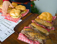 I'm just an ordinary violet boy