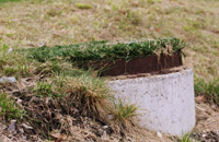 Was Franzi nicht vermisst